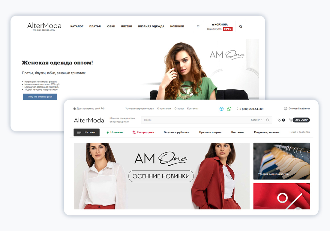 Разработка и запуск сайта для интернет-магазина AlterModa — Изображение №9 — Брендинг на Dprofile