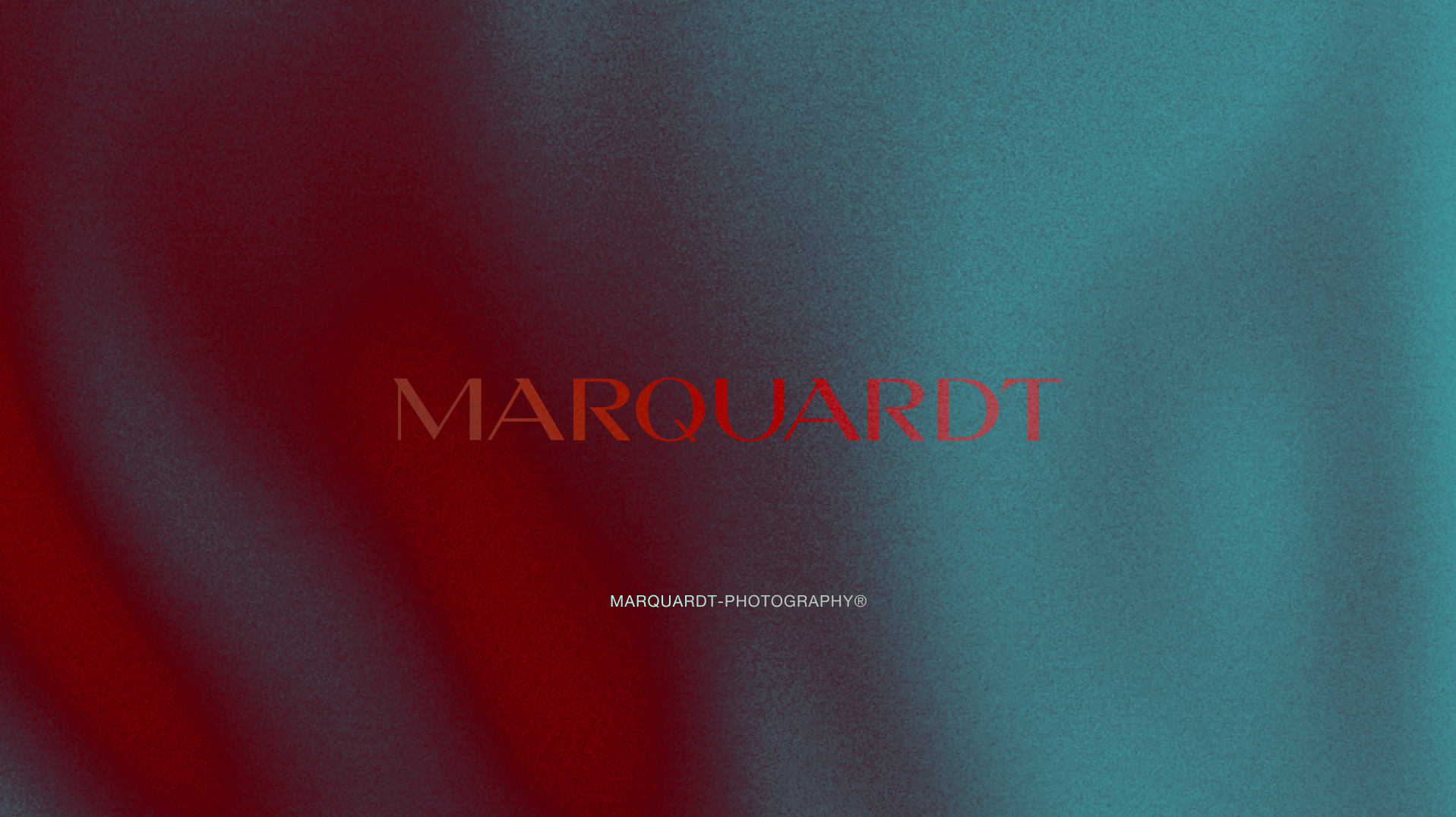 ID & Site for Sven Marquardt's Photography — Изображение №1 — Интерфейсы, Брендинг на Dprofile