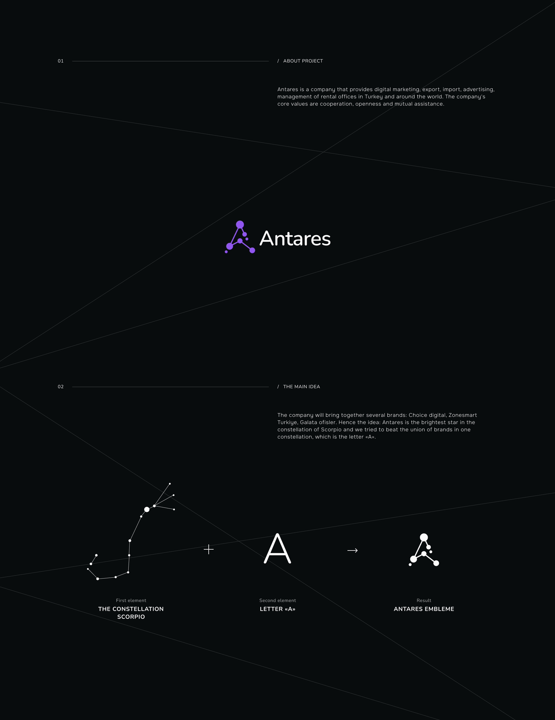 Antares. Creating a logo and art direction — Изображение №2 — Брендинг, Графика на Dprofile