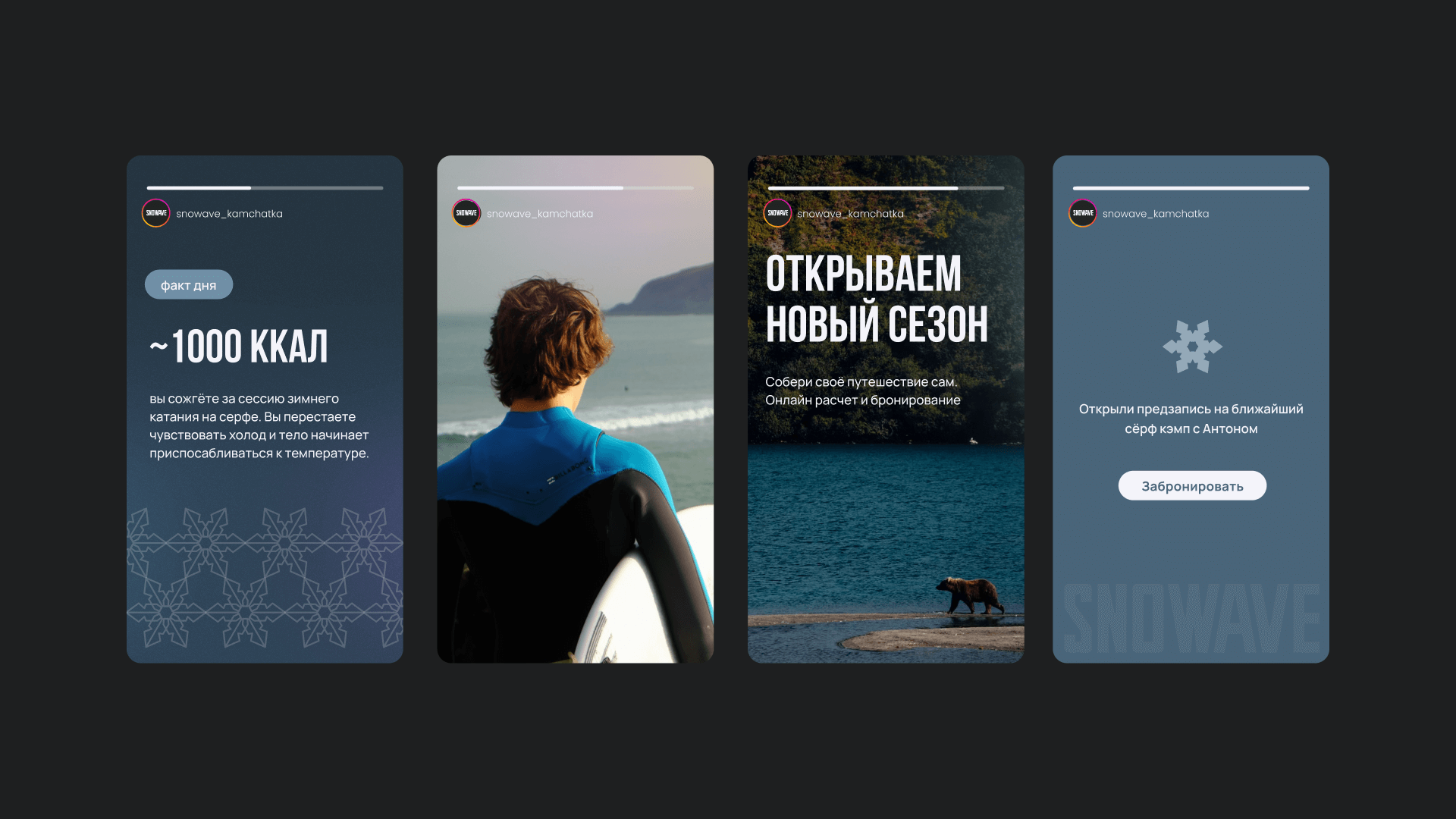 Surf school sport brand identity | Snowave Kamchatka — Изображение №13 — Брендинг, Графика на Dprofile