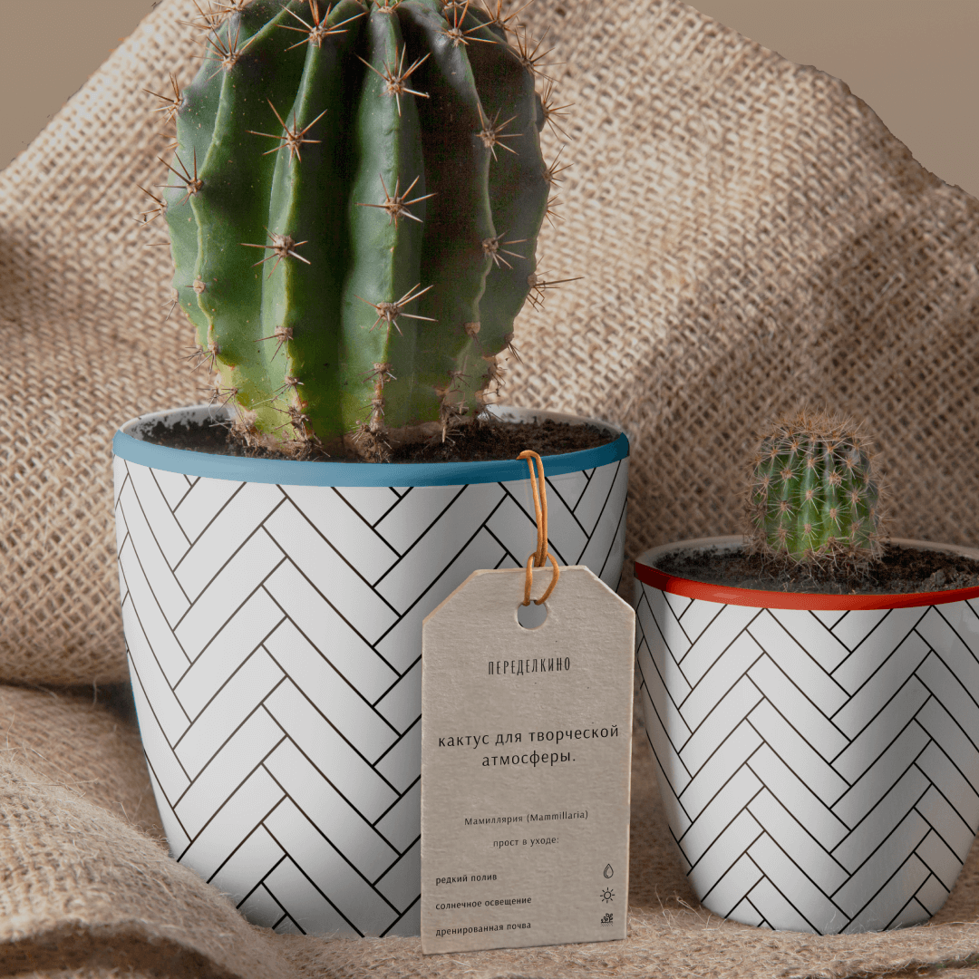 Мерч для Переделкино | Дизайн-цех АКИ — Изображение №9 — Брендинг, Графика на Dprofile