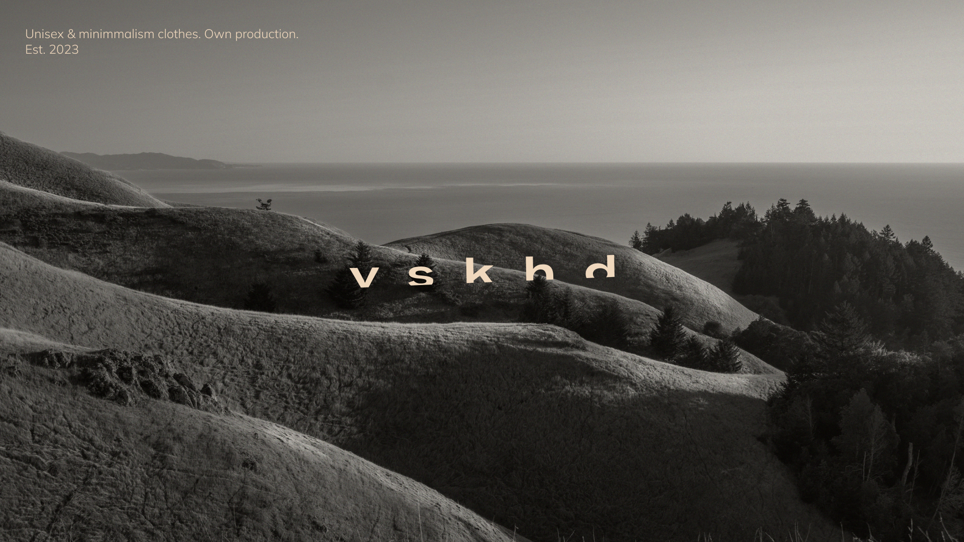 VSKHD (ВОСХОД) | Logo & Branding for clothes brand — Изображение №1 — Брендинг, Графика на Dprofile