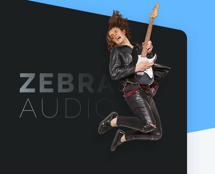 ZEBRA AUDIO — Интерфейсы на Dprofile
