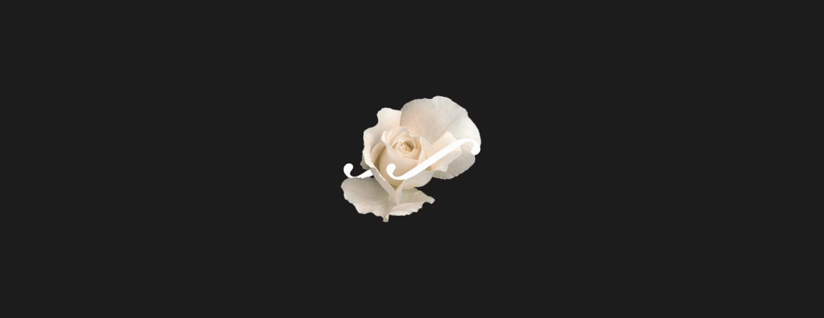 Ilias Flowers brand identity — Изображение №7 — Брендинг на Dprofile