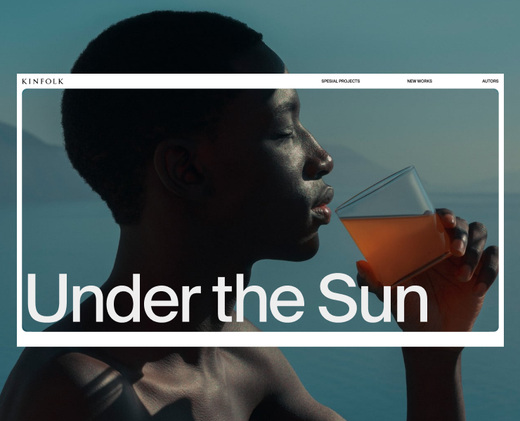 Online media (Modular longread) на Dprofile