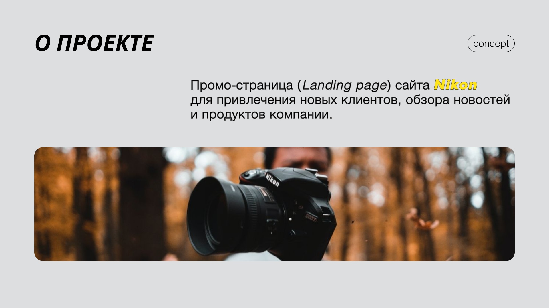 Landing page Nikon, concept — Изображение №2 — Интерфейсы на Dprofile