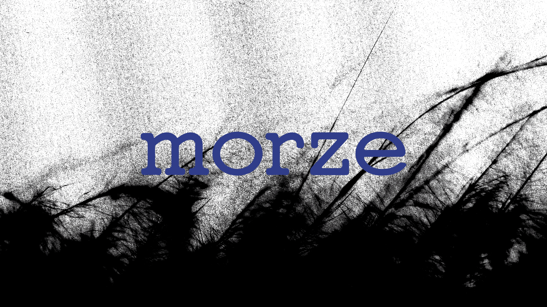 Бренд одежды «Morze» — Изображение №1 — Брендинг на Dprofile