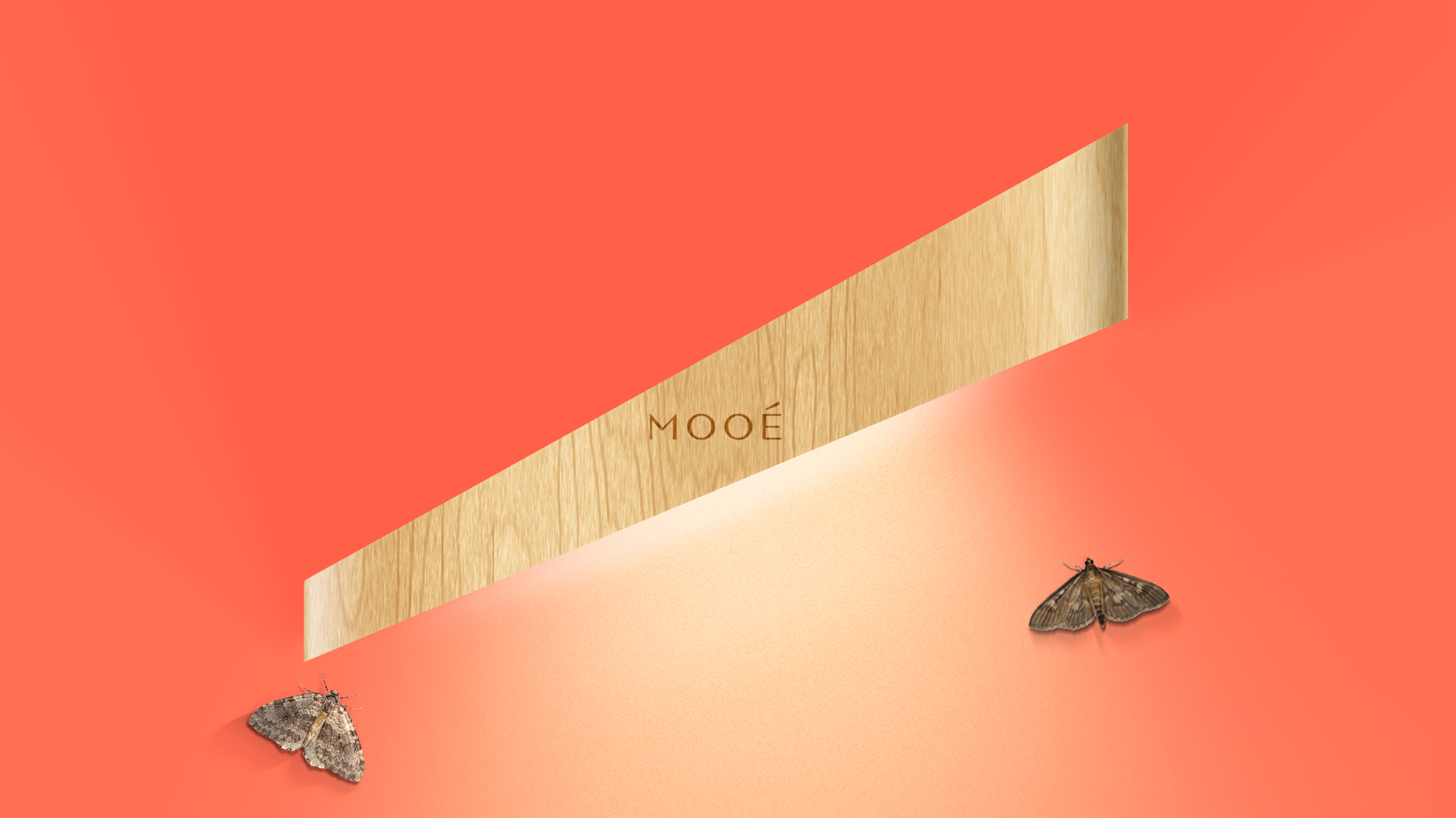 MOOÉ — Изображение №6 — Брендинг на Dprofile