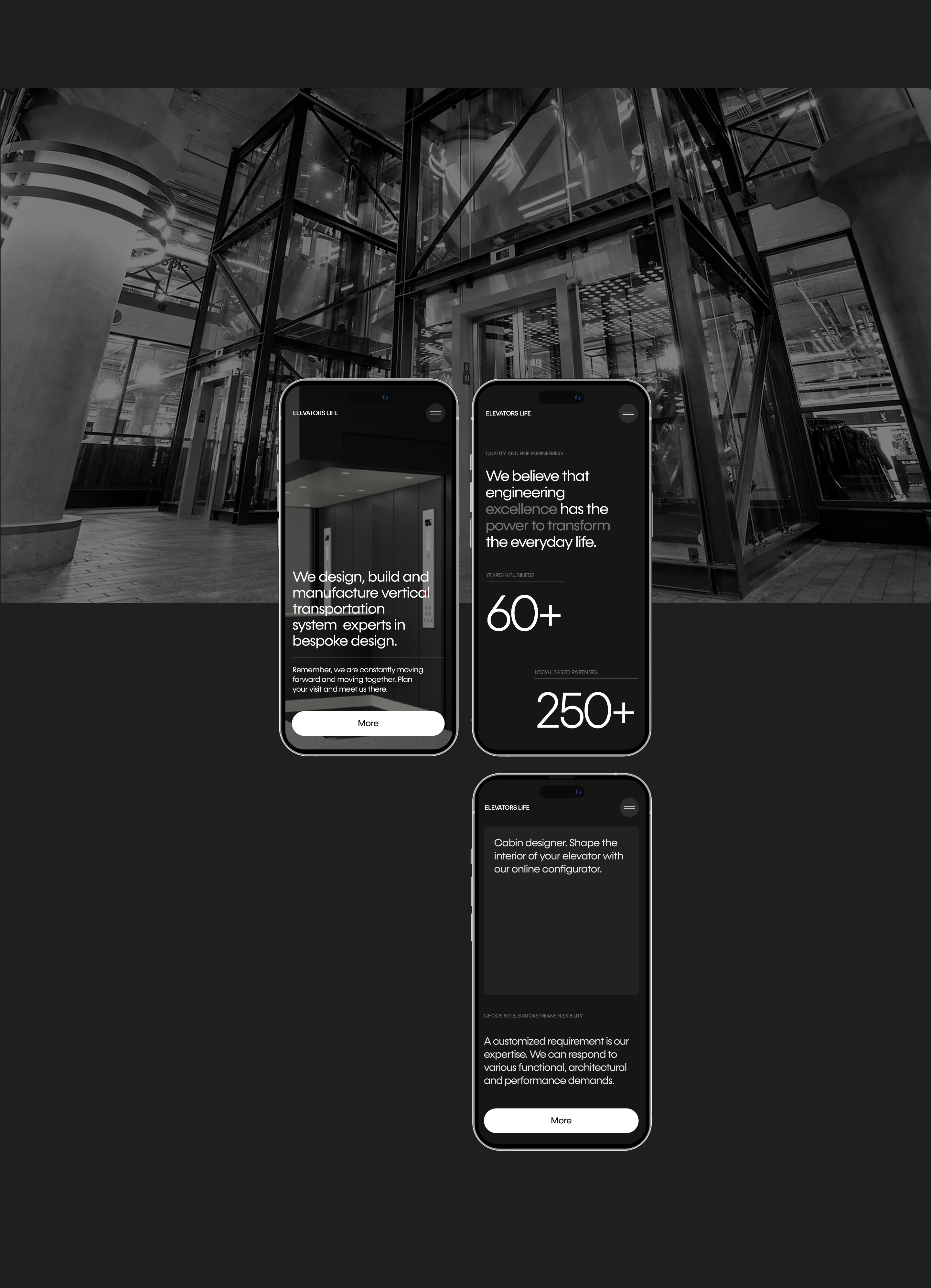ElevatorLife | Website Designe — Изображение №4 — Интерфейсы на Dprofile