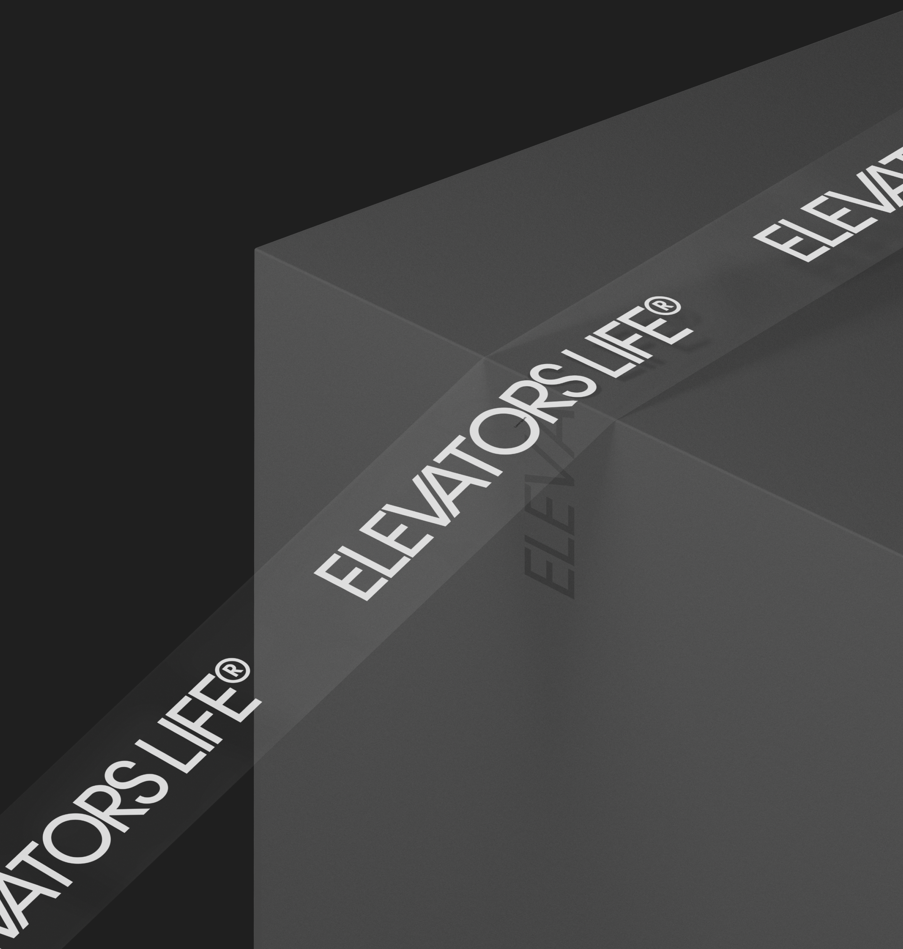 ElevatorLife | Website Designe — Изображение №13 — Интерфейсы на Dprofile