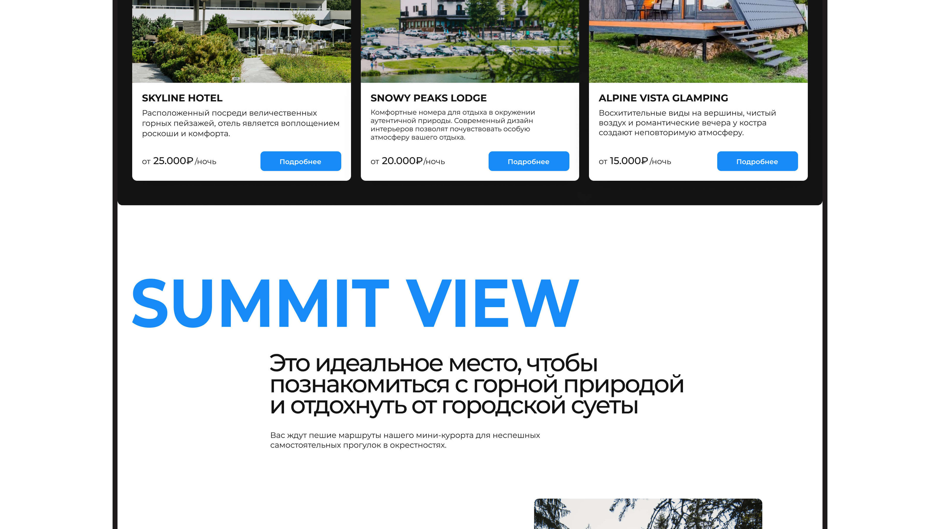 SUMMIT VIEW RESORT | Website Design — Изображение №5 — Интерфейсы, Графика на Dprofile