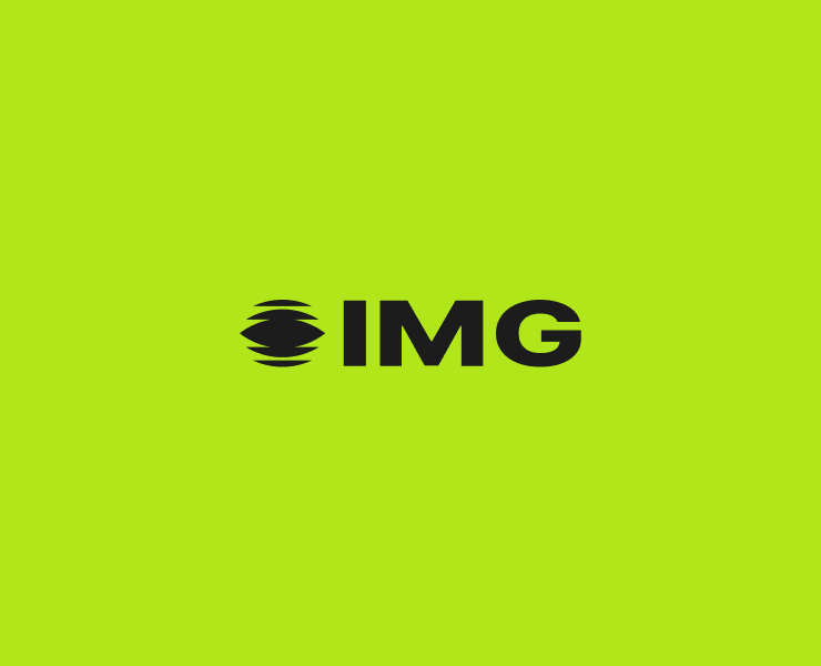 IMG Group | разработка сайта — Интерфейсы на Dprofile