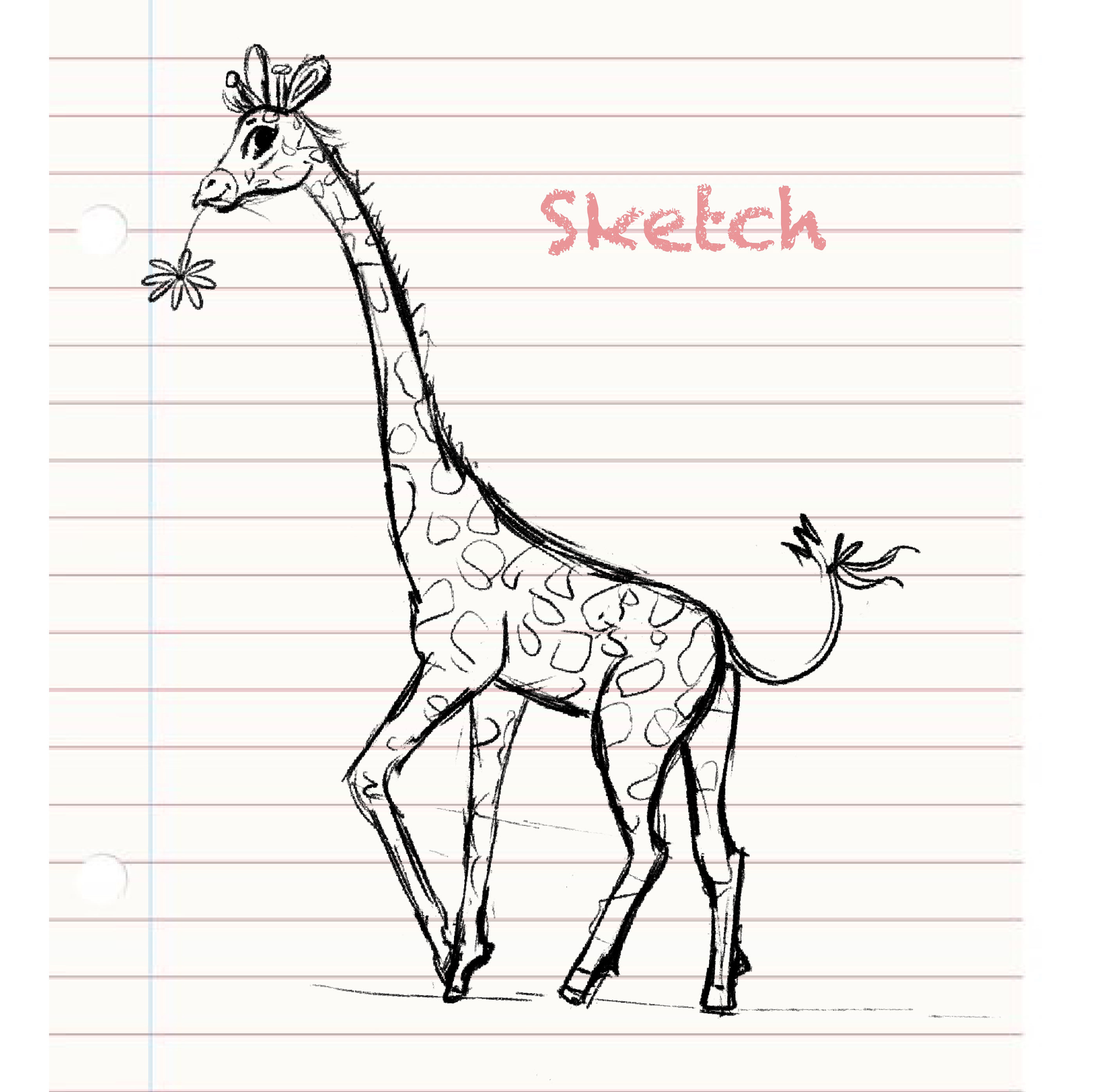 Alphabet with animals for children — Изображение №11 — Брендинг, Иллюстрация на Dprofile
