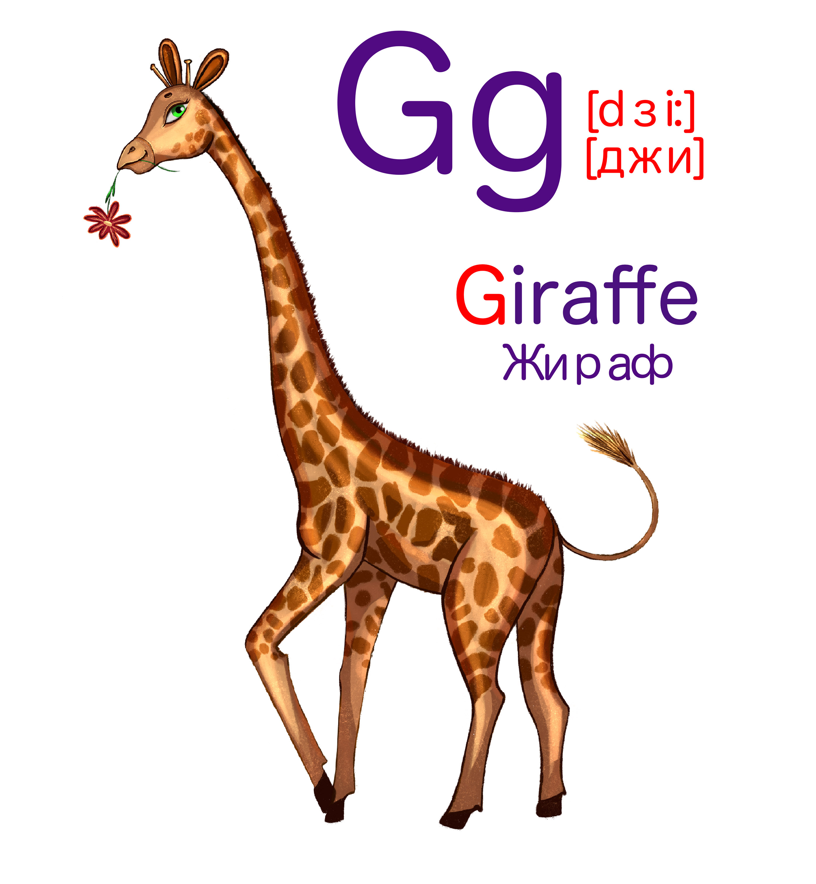 Alphabet with animals for children — Изображение №10 — Брендинг, Иллюстрация на Dprofile