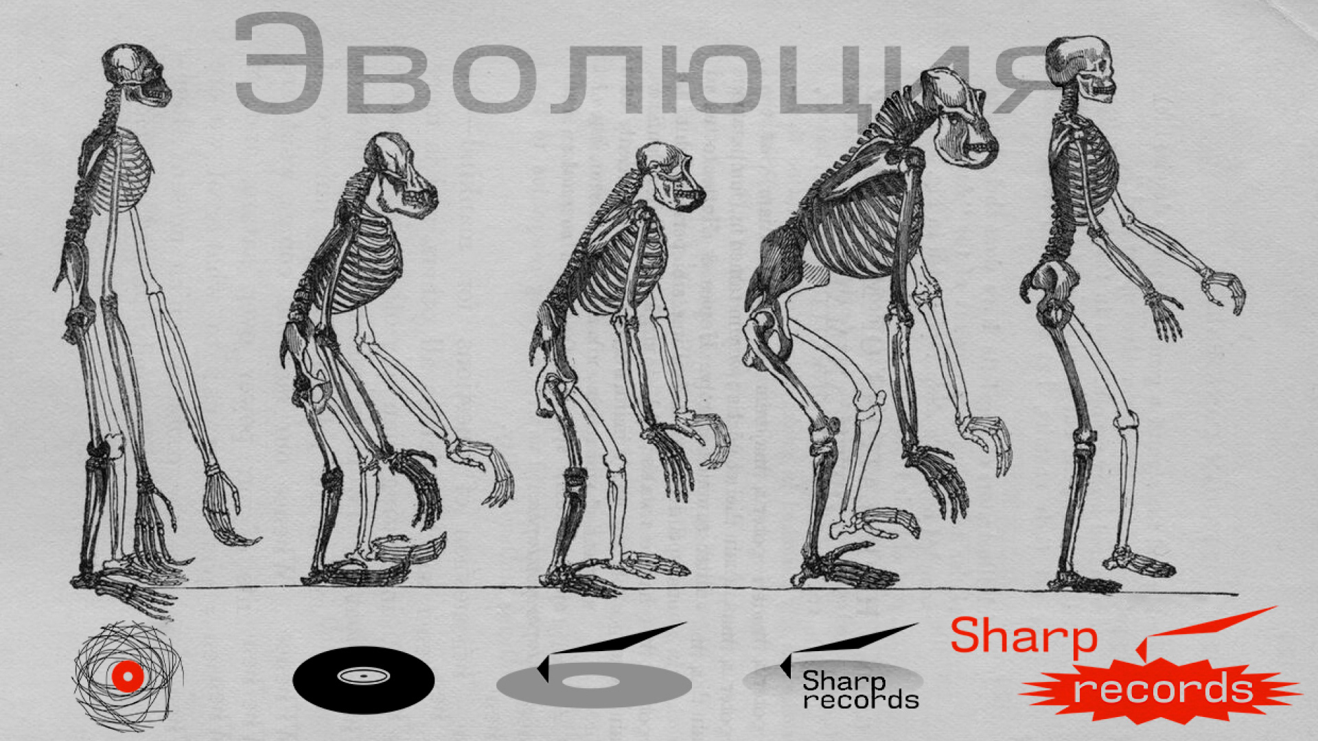 Sharp Records | Магазин винила — Изображение №3 — Брендинг на Dprofile
