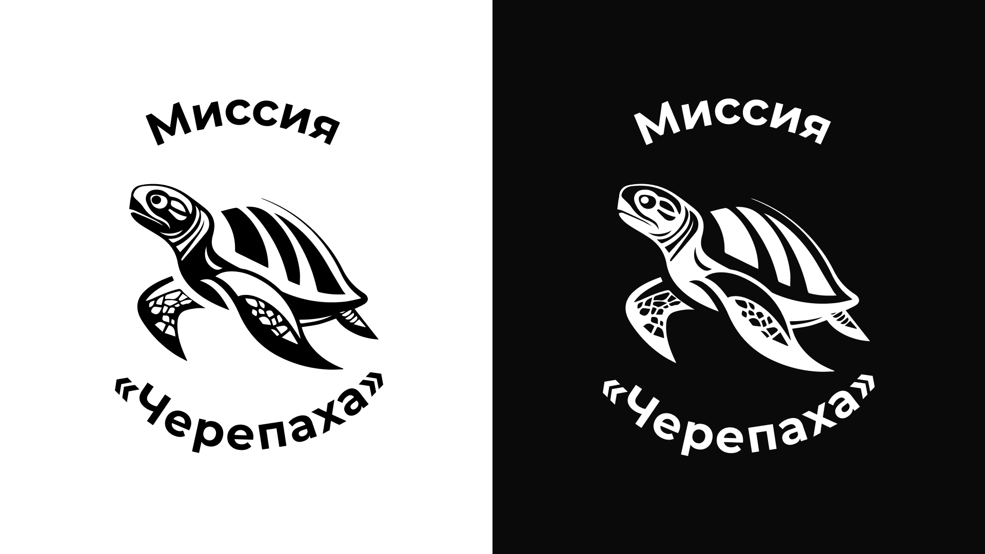 Миссия "Черепаха" | Редизайн бизнес-игры — Изображение №3 — Брендинг, Графика на Dprofile