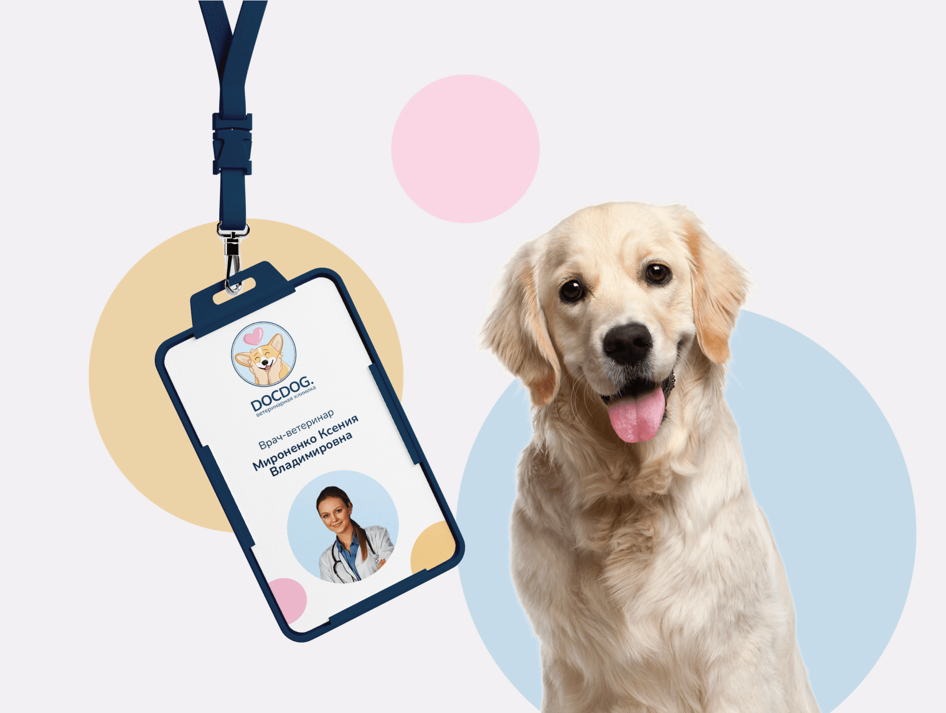 DOCDOG. | Логотип и фирменный стиль для ветклиники — Изображение №7 — Иллюстрация, Графика на Dprofile