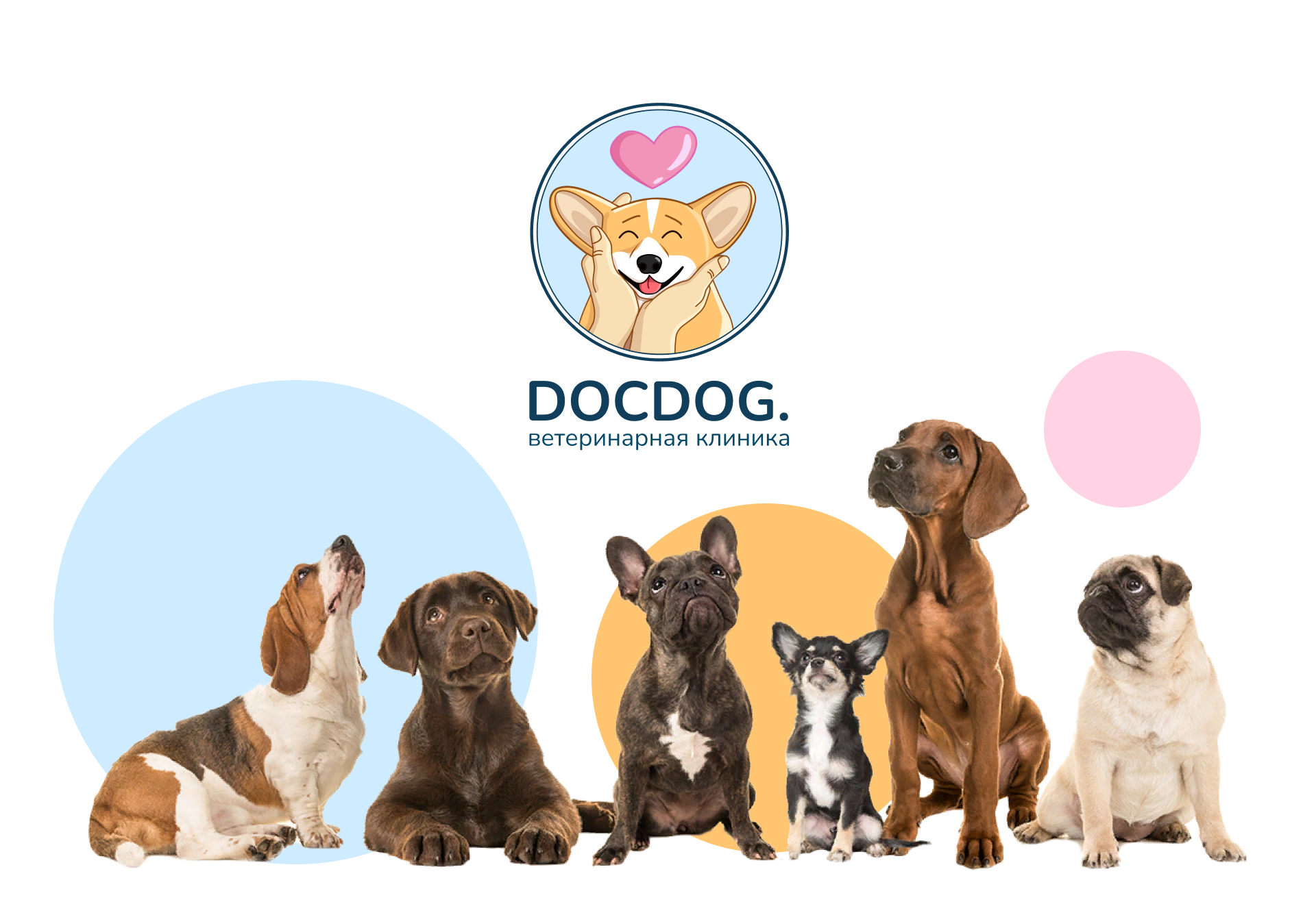 DOCDOG. | Логотип и фирменный стиль для ветклиники — Изображение №1 — Иллюстрация, Графика на Dprofile