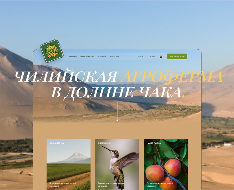 Сайт для агрофермы в Чили — Интерфейсы на Dprofile