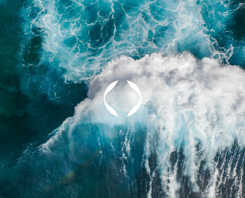 Novabev Group / Longread — Интерфейсы, Брендинг на Dprofile