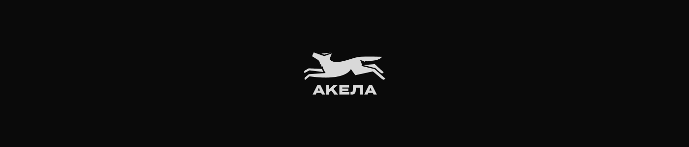 Туристическая экипировка АКЕЛА | Branding — Изображение №23 — Брендинг, Графика на Dprofile
