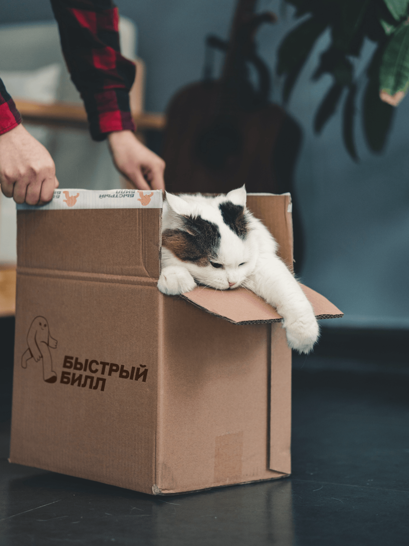 БЫСТРЫЙ БИЛЛ - курьерская служба| Branding — Изображение №9 — Брендинг, Иллюстрация на Dprofile