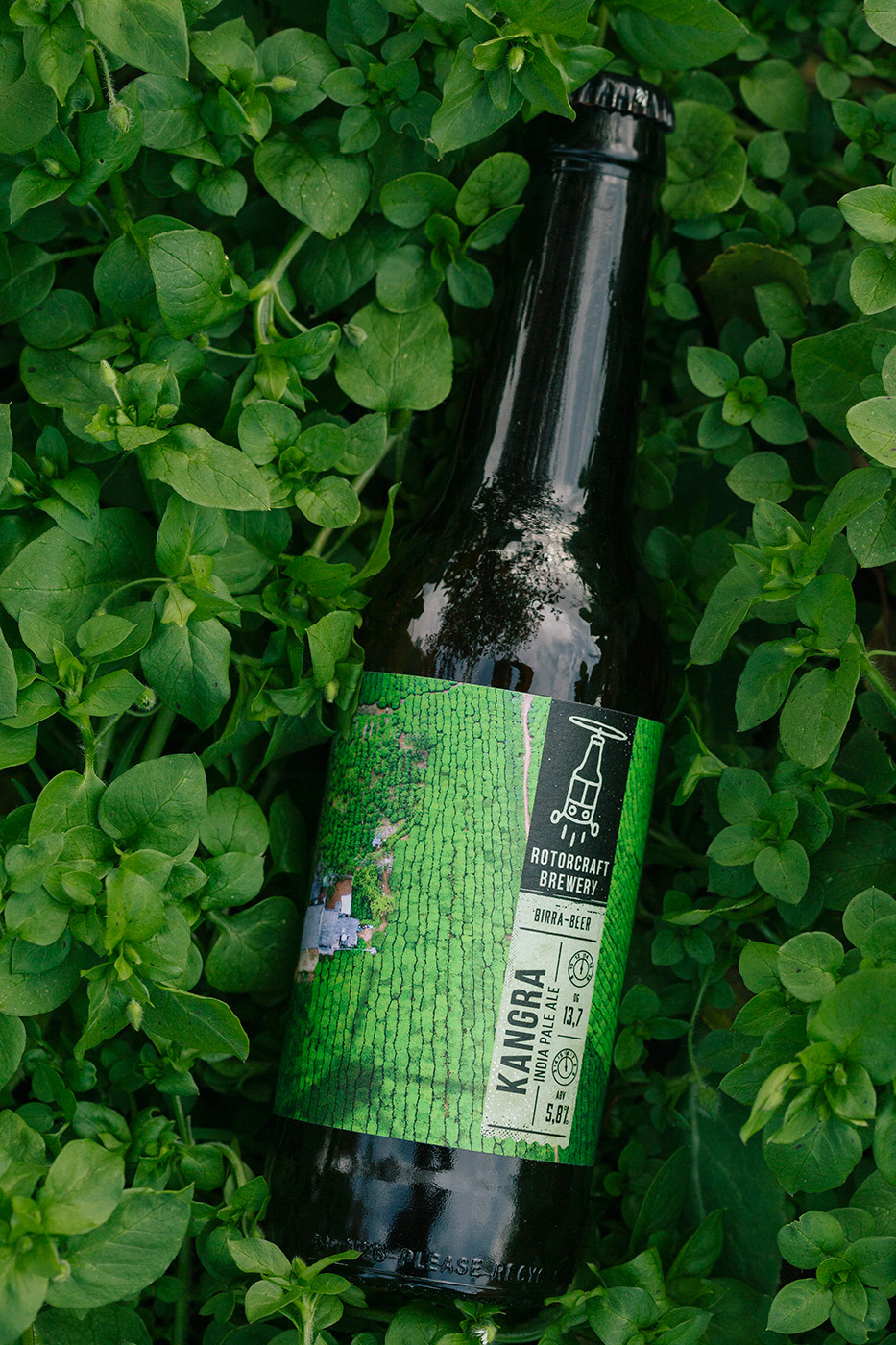 Серия этикеток для пивоварни Rotorcraft Brewery, Италия — Изображение №20 — Брендинг на Dprofile
