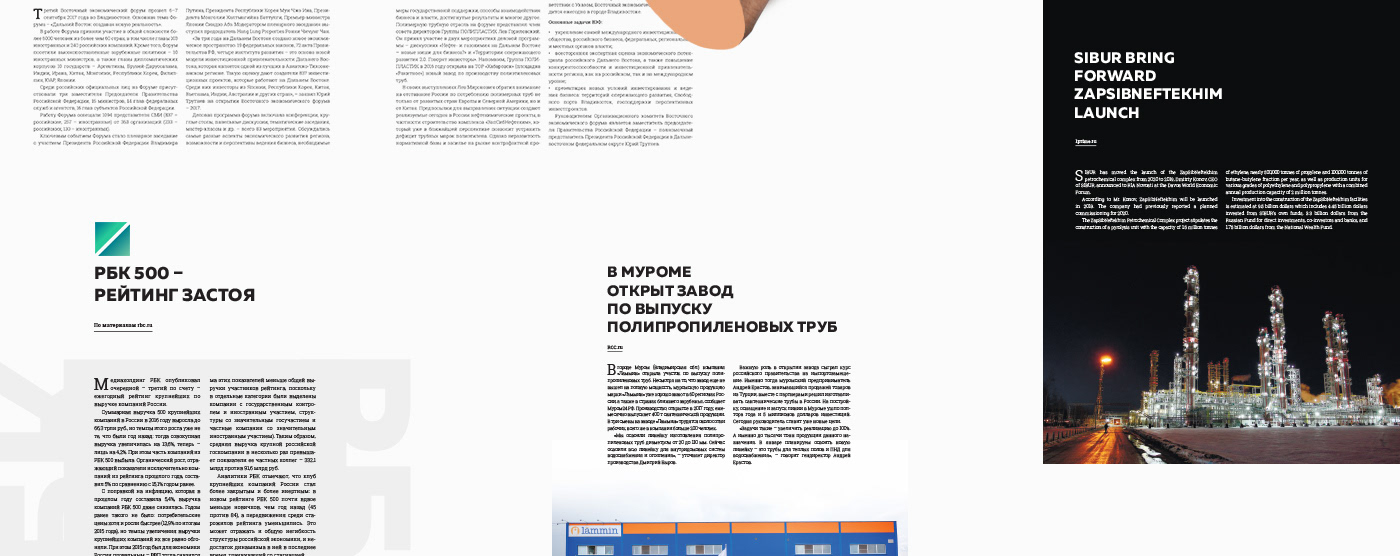 Отраслевой многостраничный журнал — Изображение №19 — Брендинг, Графика на Dprofile