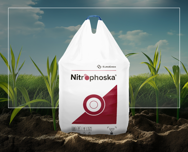 Продуктовая презентация «Nitrophoska» — Графика, Маркетинг на Dprofile