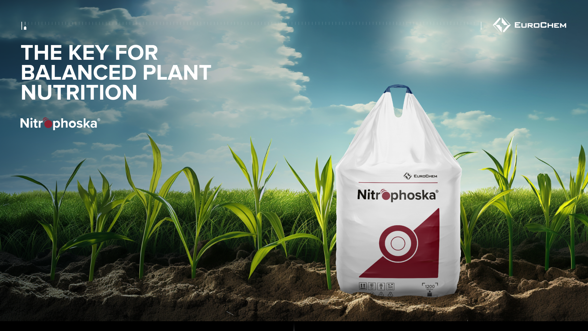 Продуктовая презентация «Nitrophoska» — Изображение №1 — Графика, Маркетинг на Dprofile