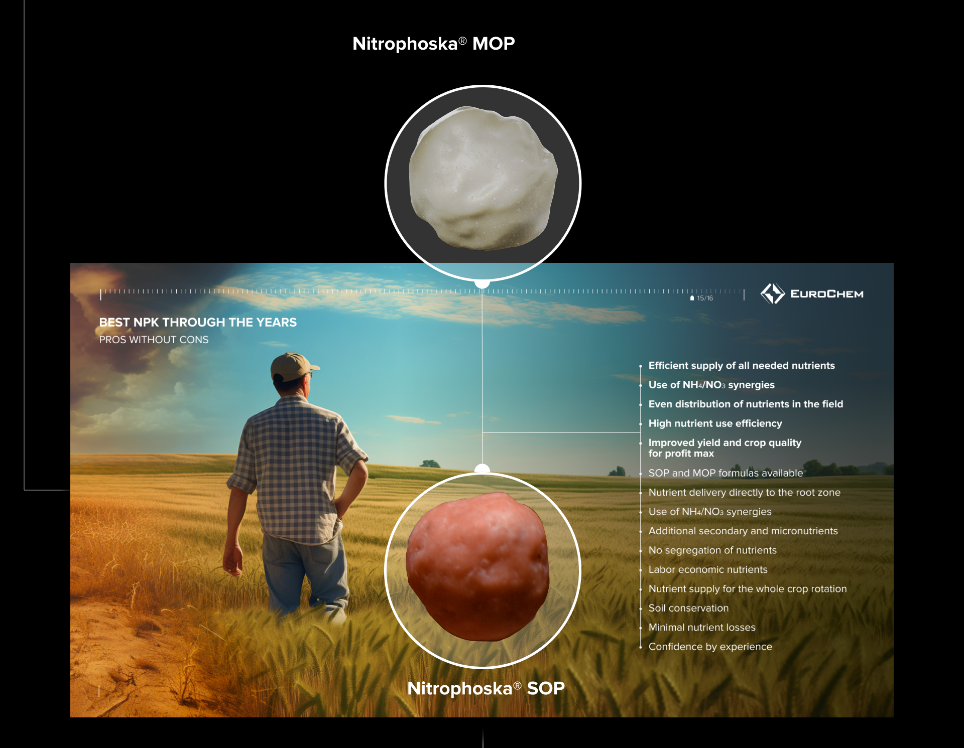 Продуктовая презентация «Nitrophoska» — Изображение №15 — Графика, Маркетинг на Dprofile