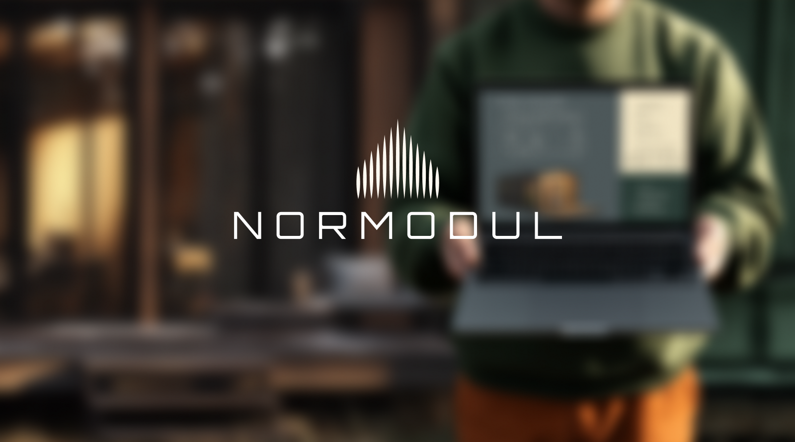 Normodul — Изображение №1 — Брендинг на Dprofile