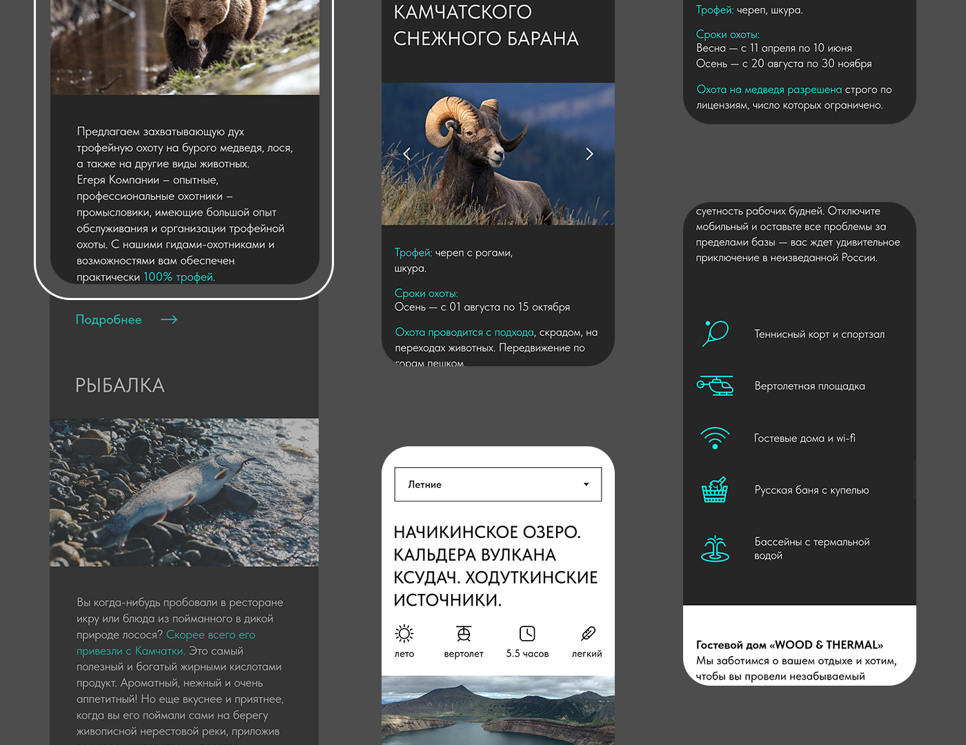 WIN & TRAVEL — Изображение №6 — Интерфейсы, Брендинг на Dprofile