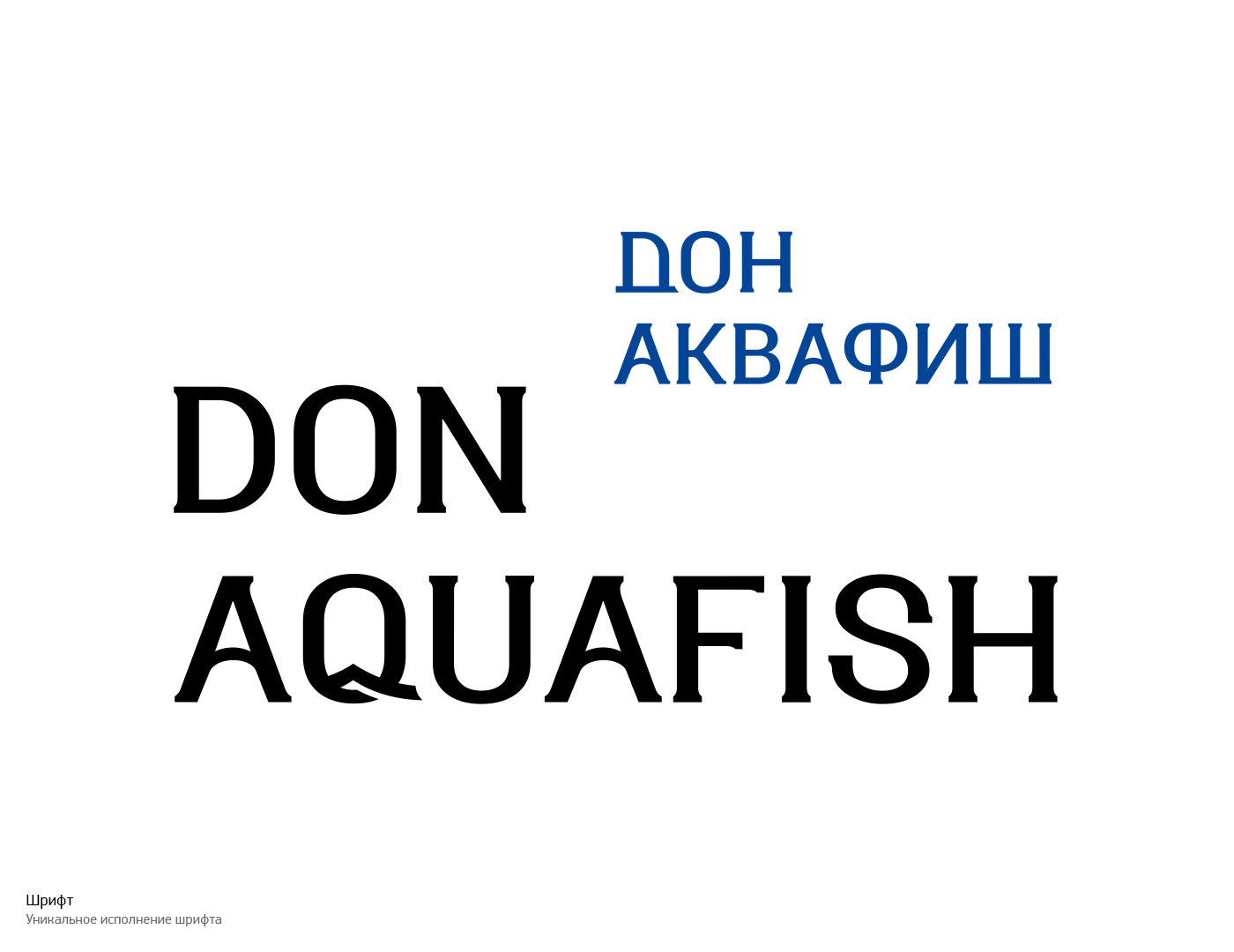 Don Aquafish — Изображение №8 — Брендинг на Dprofile
