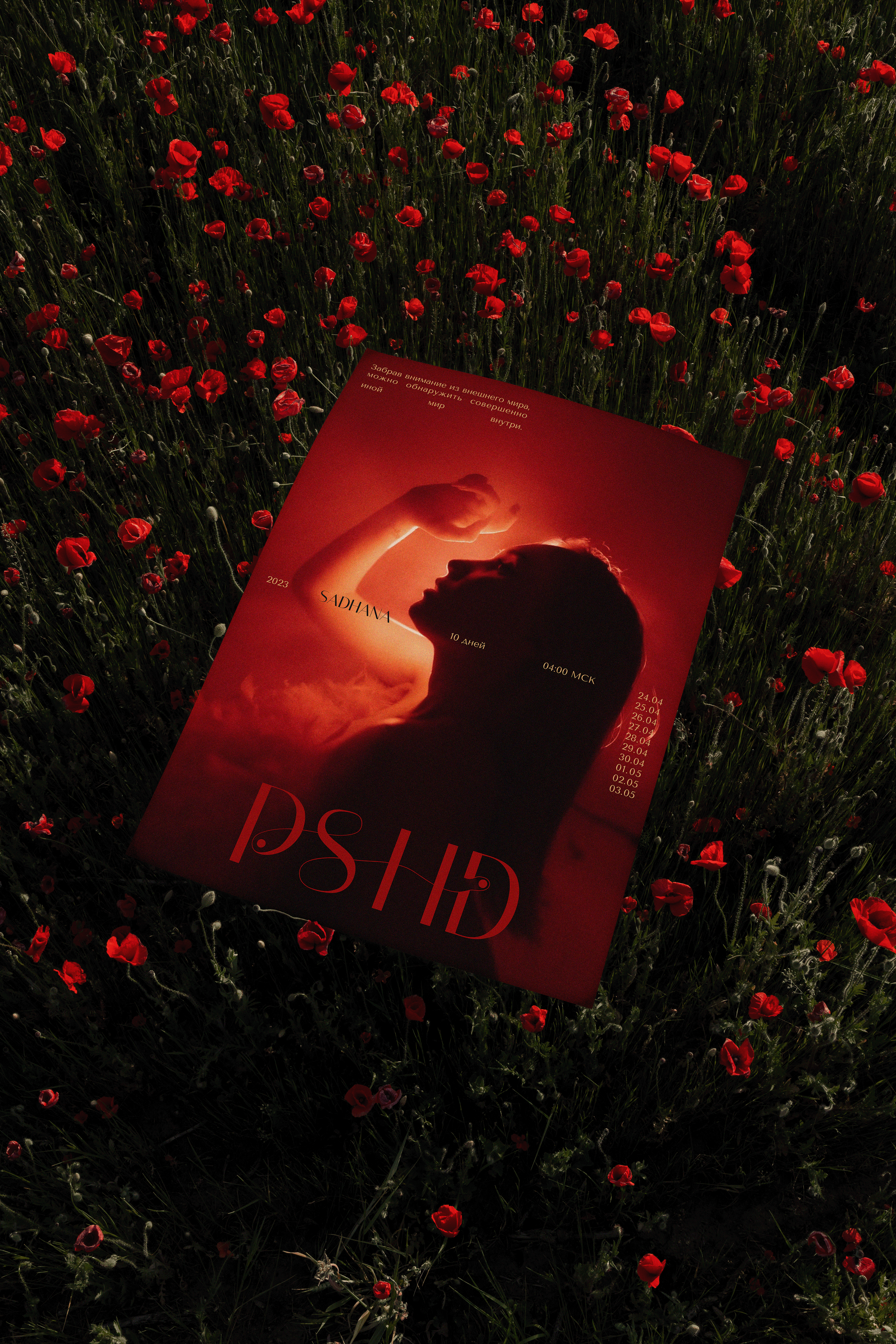 PSYCHOLOGICAL HEDONISM | PSHD | brand identity — Изображение №10 — Брендинг, Графика на Dprofile