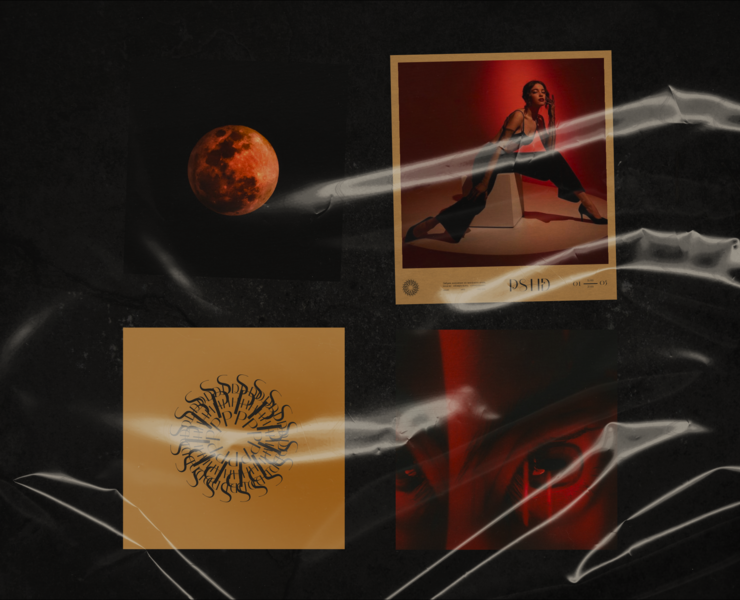 PSYCHOLOGICAL HEDONISM | PSHD | brand identity — Брендинг, Графика на Dprofile