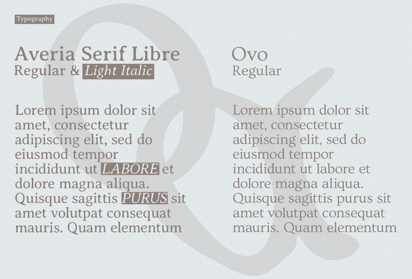 Omorfia | Scincare Brand Identity — Изображение №4 — Брендинг на Dprofile