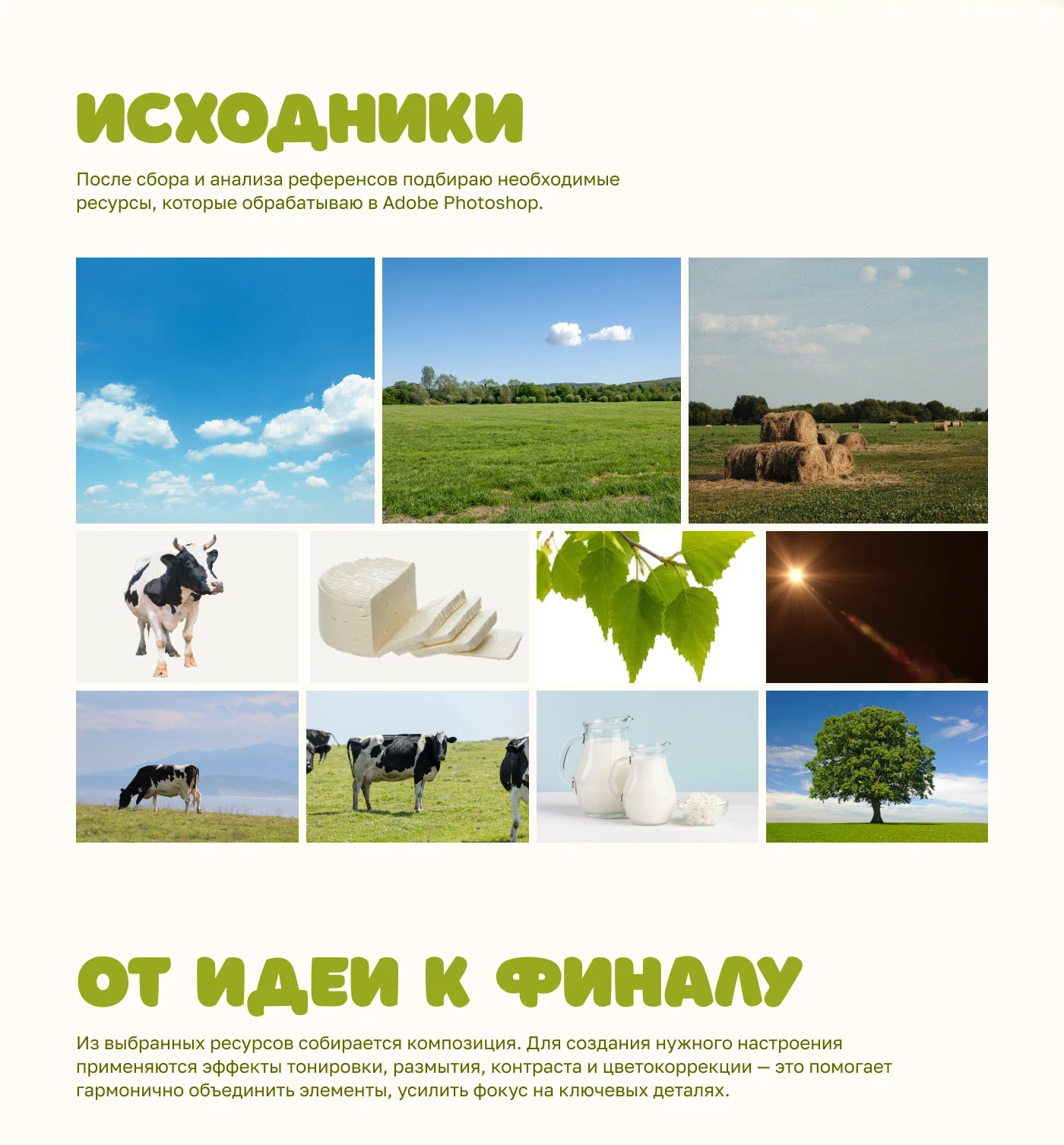 Key Visual | Молочная продукция — Изображение №2 — Графика на Dprofile