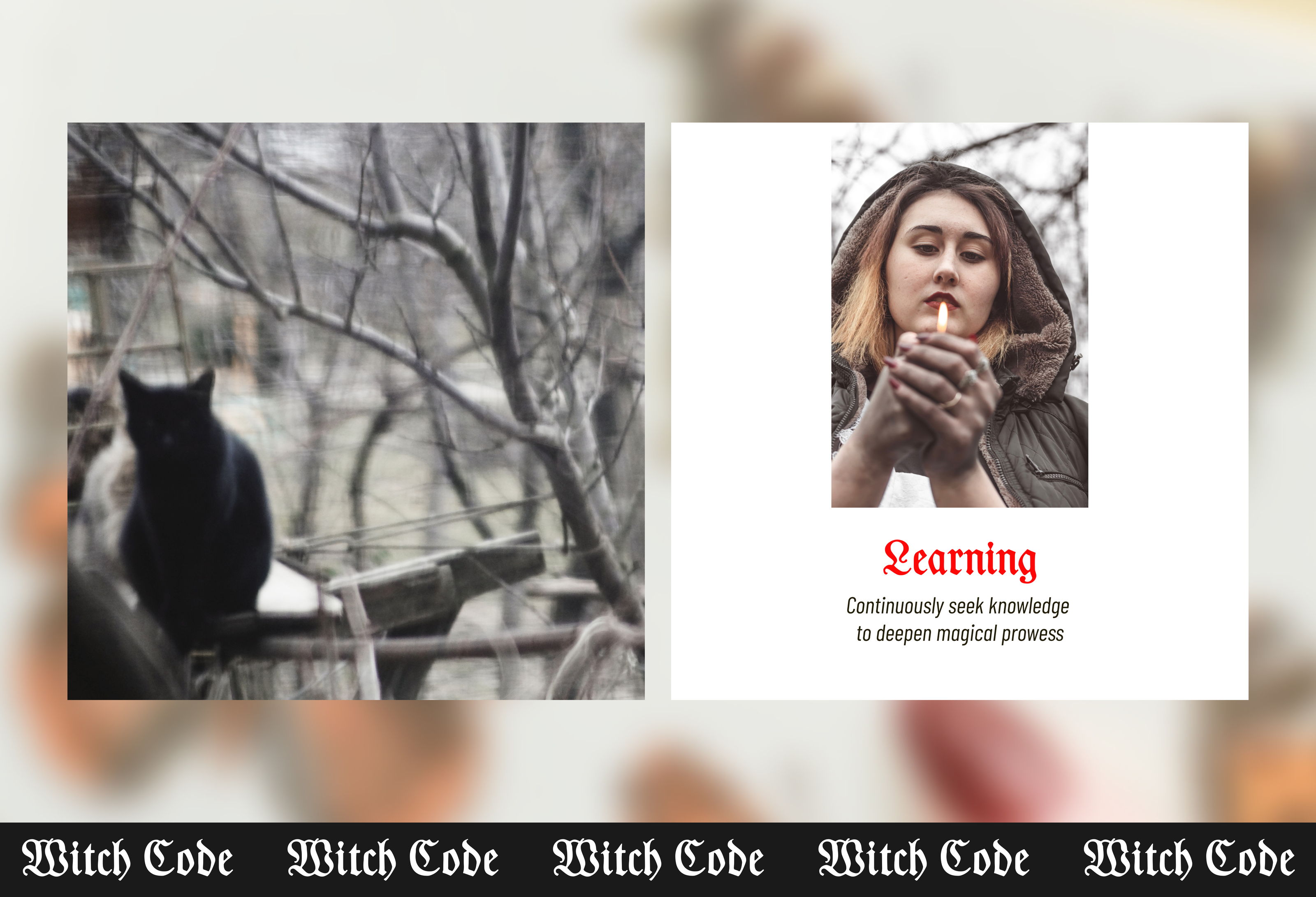 Брошюра для ведьм — Изображение №6 — Графика, Маркетинг на Dprofile