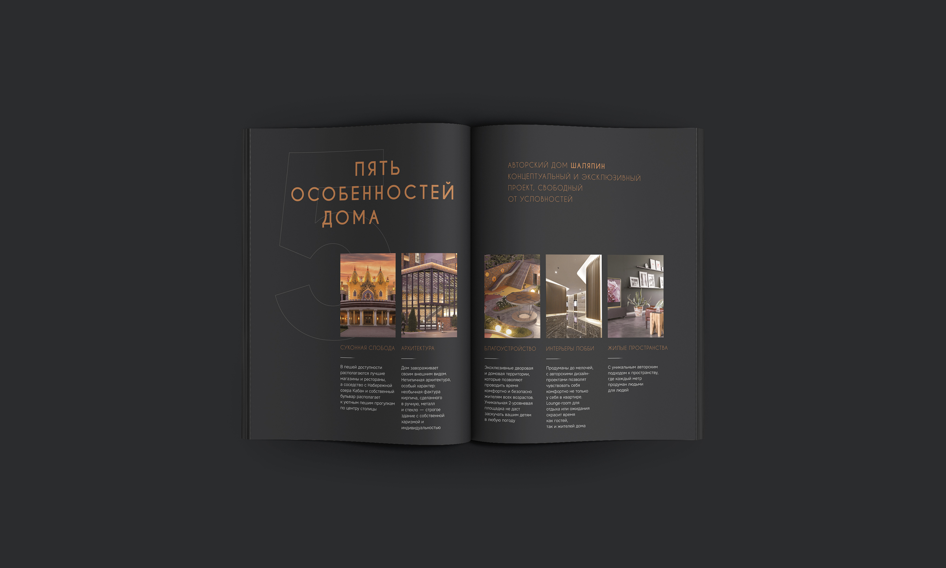 Авторский дом Шаляпин — Изображение №15 — Брендинг, Графика на Dprofile