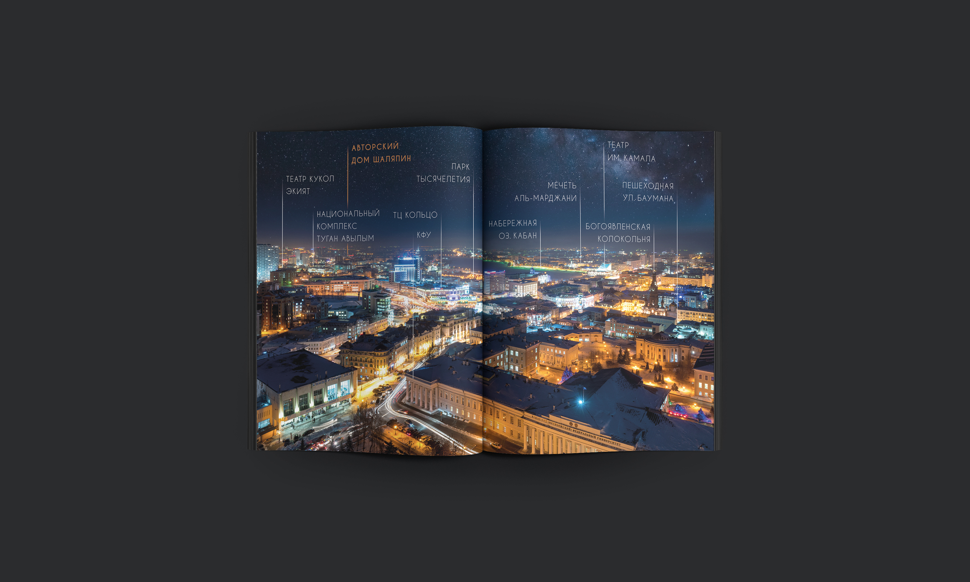 Авторский дом Шаляпин — Изображение №17 — Брендинг, Графика на Dprofile