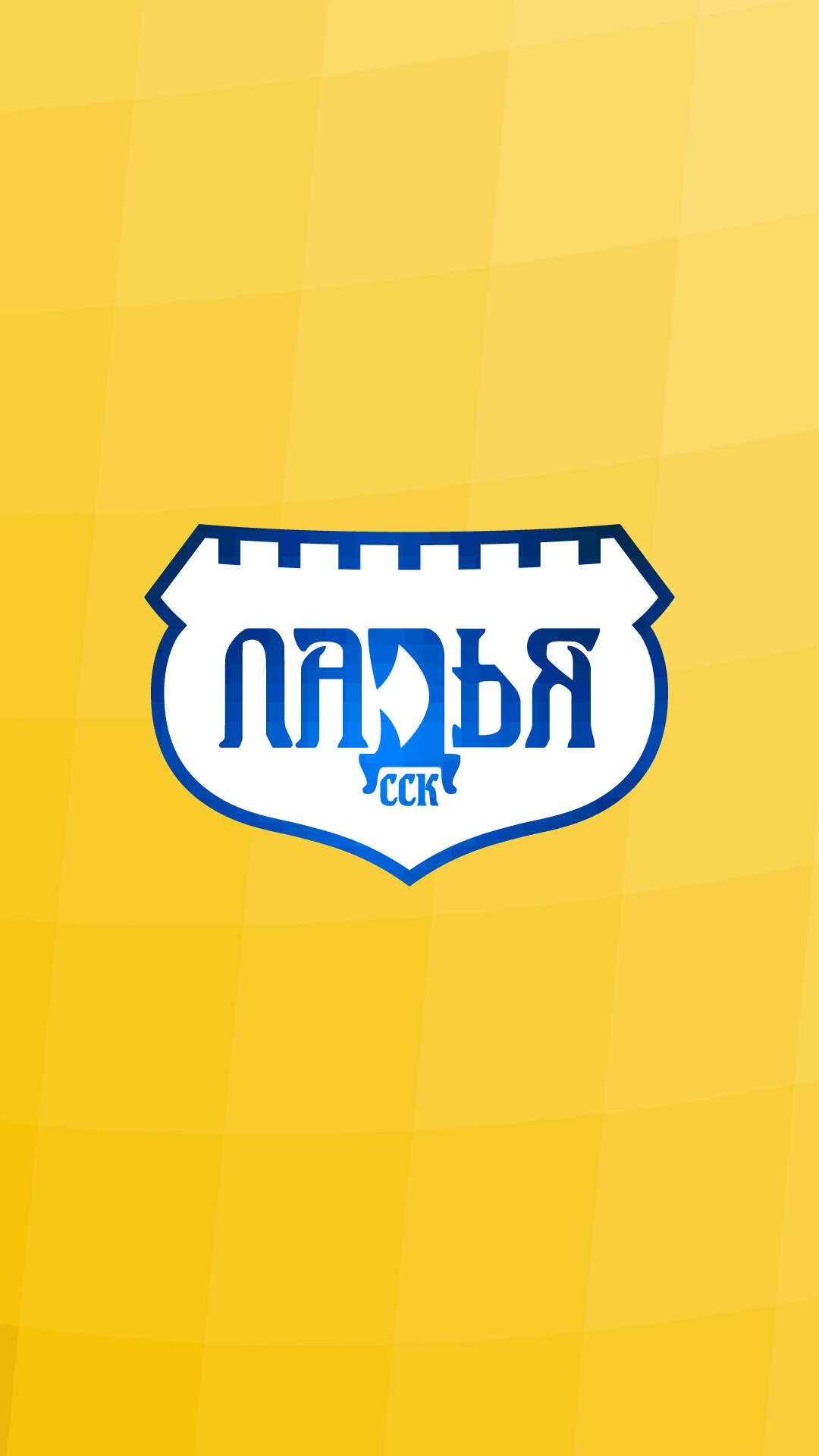 Ребрендинг ССК «Ладья» — Изображение №14 — Брендинг, Графика на Dprofile