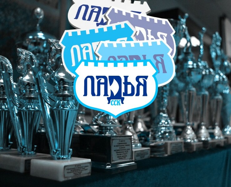 Ребрендинг ССК «Ладья» — Брендинг, Графика на Dprofile
