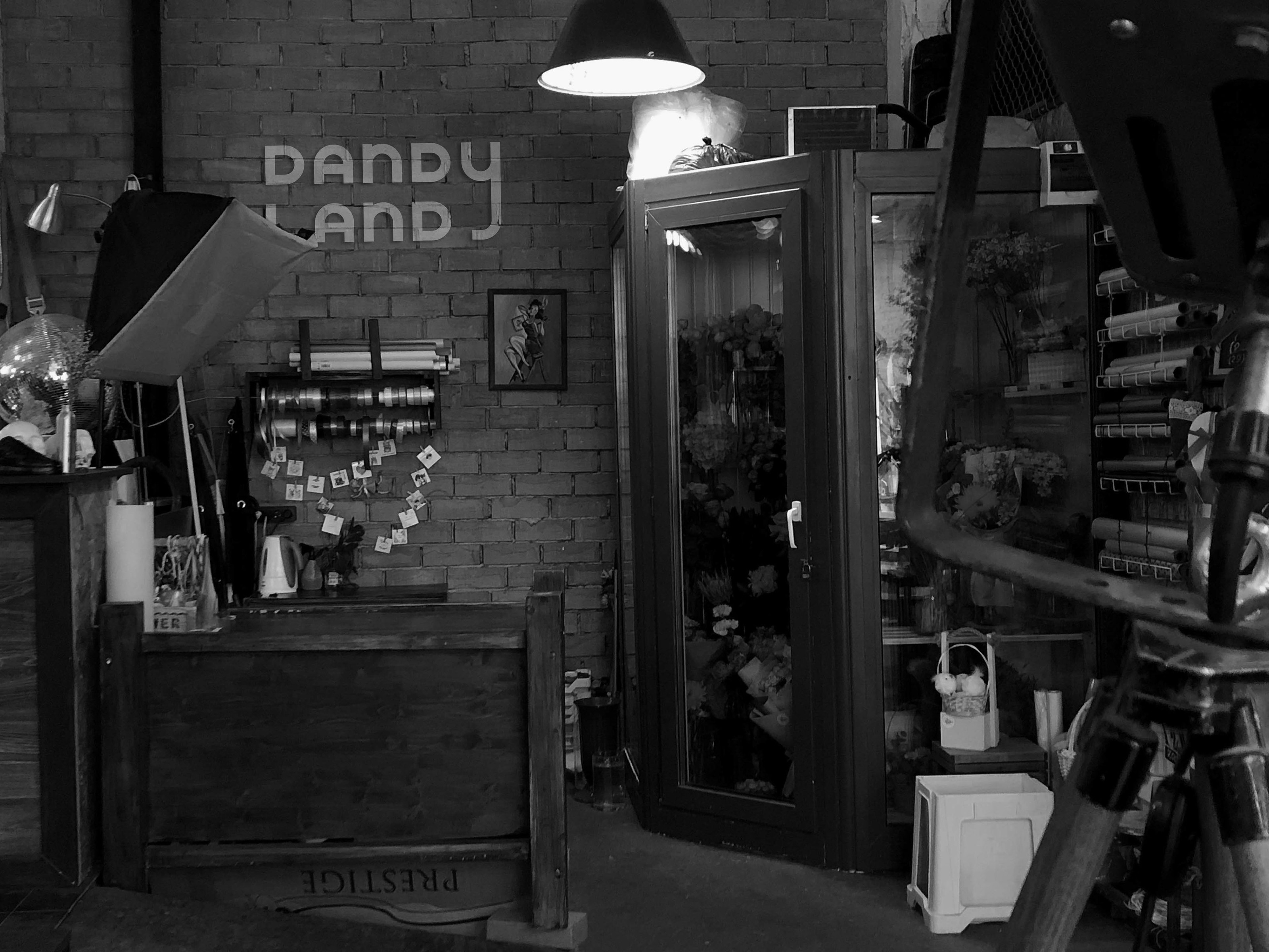 dandy land/айдентика для креативного пространства — Изображение №4 — Графика, Анимация на Dprofile