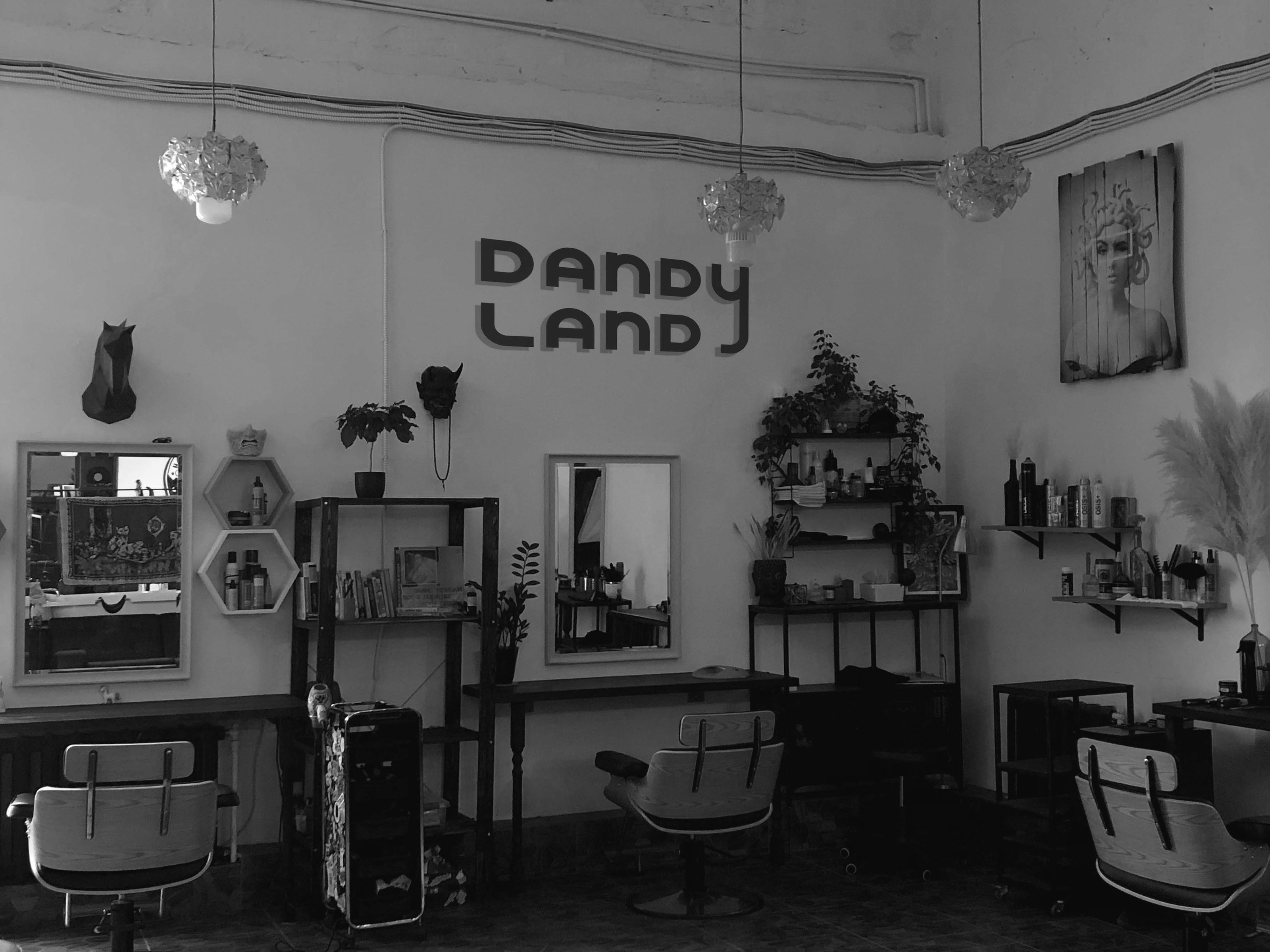dandy land/айдентика для креативного пространства — Изображение №5 — Графика, Анимация на Dprofile