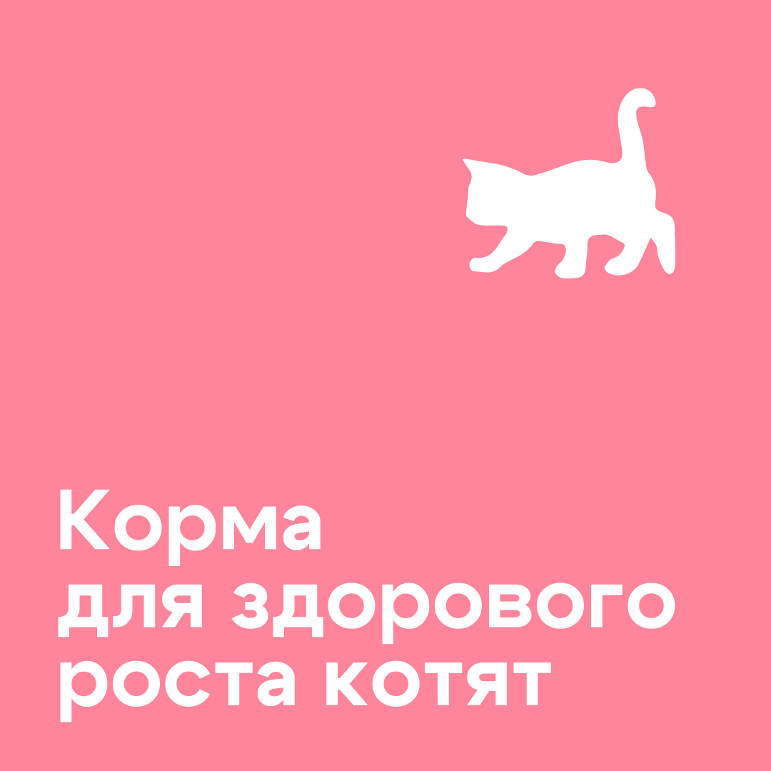 дизайн соцсетей 2023-2024 — Изображение №5 — Иллюстрация, Графика на Dprofile