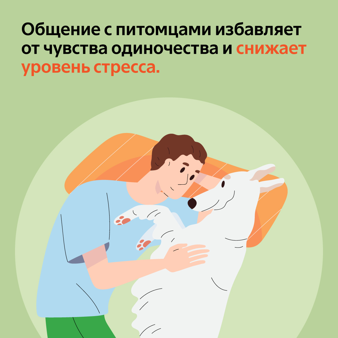 дизайн соцсетей 2023-2024 — Изображение №20 — Иллюстрация, Графика на Dprofile