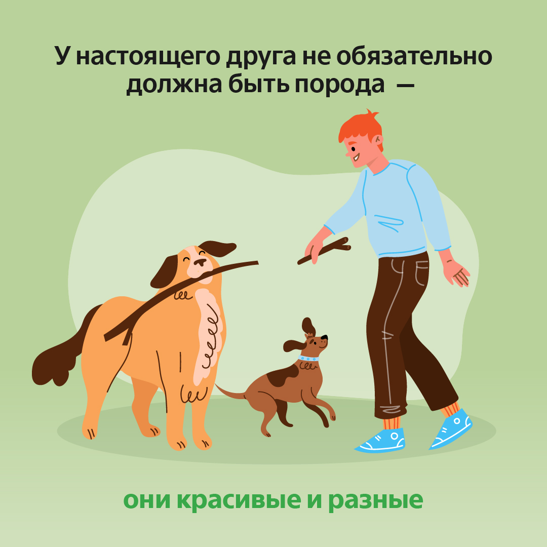 дизайн соцсетей 2023-2024 — Изображение №33 — Иллюстрация, Графика на Dprofile