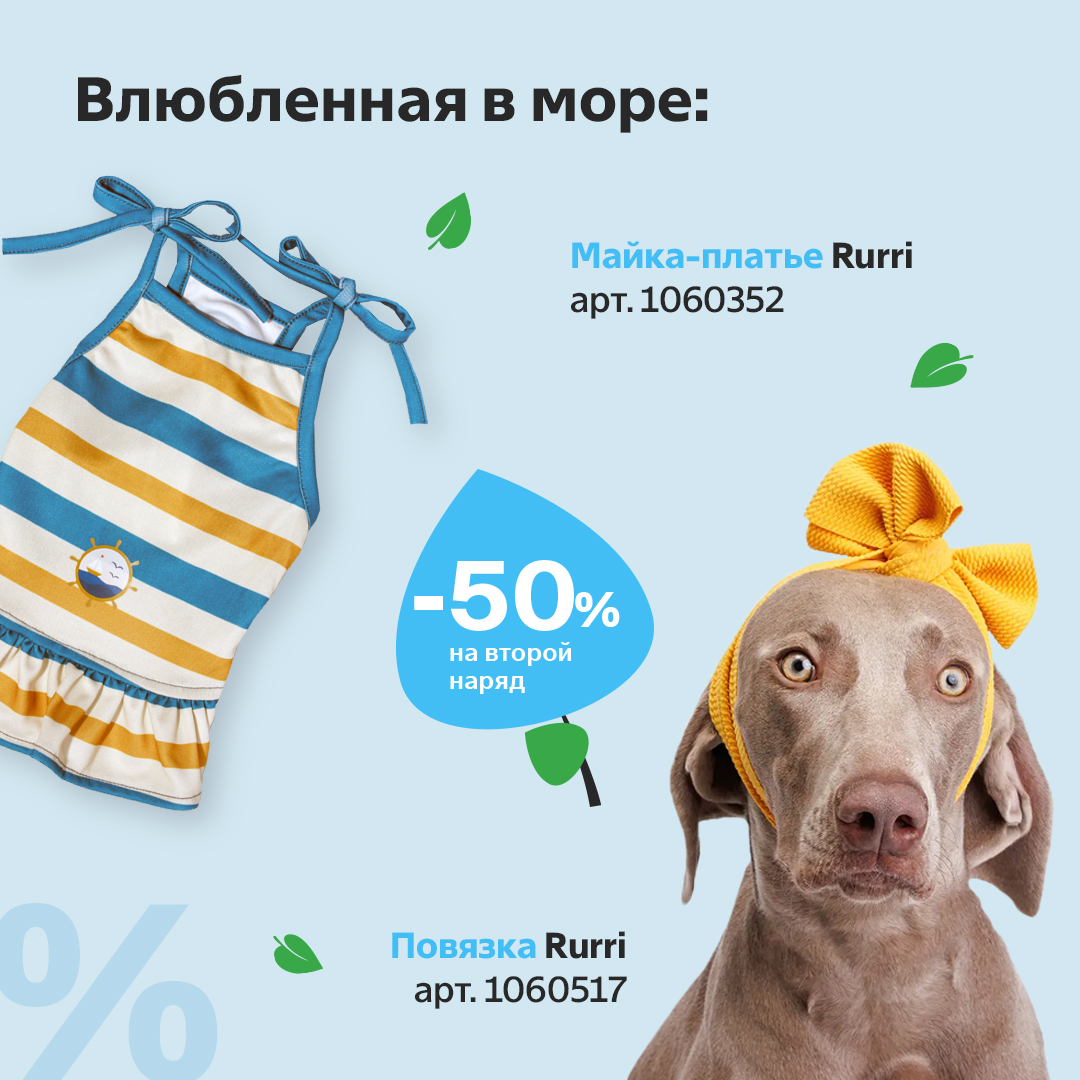 дизайн соцсетей 2023-2024 — Изображение №30 — Иллюстрация, Графика на Dprofile