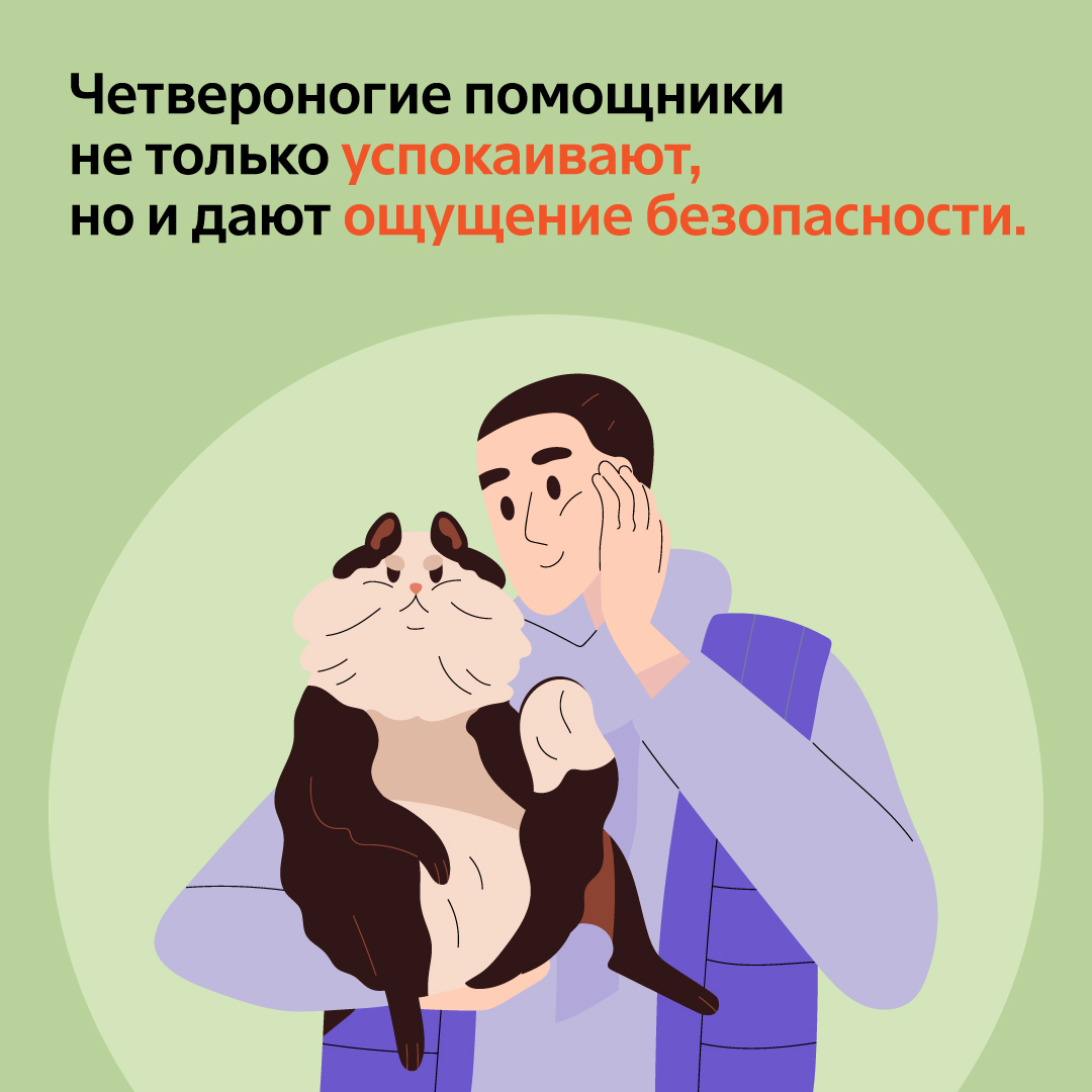 дизайн соцсетей 2023-2024 — Изображение №21 — Иллюстрация, Графика на Dprofile